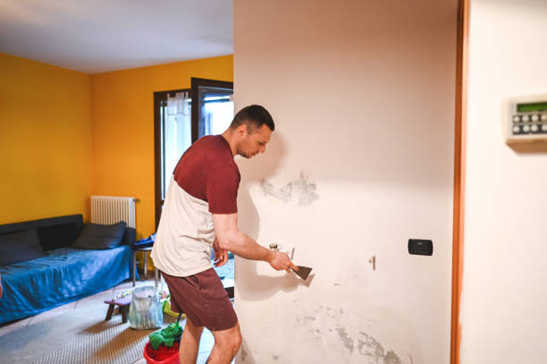 Best Attic Mold Remediation in Pembroke Park, FL